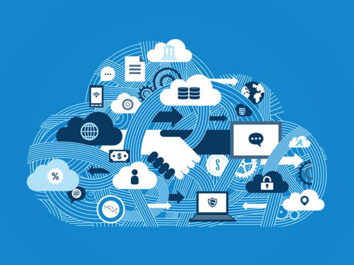 數(shù)字化服務(wù)助力農(nóng)合機(jī)構(gòu)精準(zhǔn)把握小微需求——信息咨詢服務(wù)的創(chuàng)新應(yīng)用